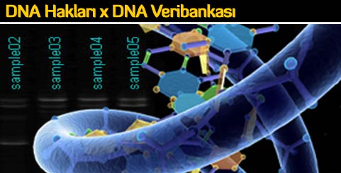 DNA Bizimdir, Haklar x DNA veritabani
