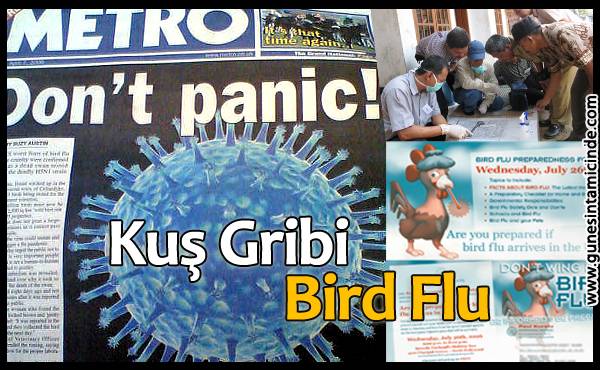 Kuş gribi / Bird flu ile ilgili web seçkisi. Kuş Gribi İle İlgili Kaynaklar / Bird Flu