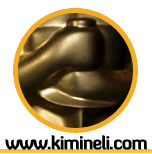 Kimin eli?