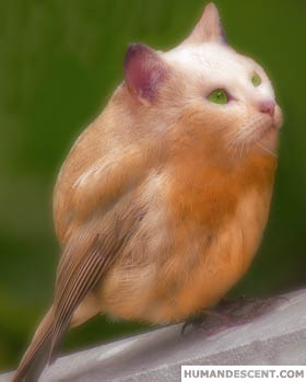 uglyzoo1 Photoshop Hayvancıkları