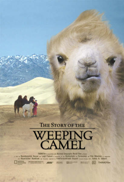 Orta Asya çöllerinde yaşayan Moğol bir ailenin sıcak dostça ve samimi anlatımı anında sardı beni. Öylesine doğaldı ki doğal olup çevreci kitleyi toplayayım çabası bile yoktu. Ağlayan Deve'nin Öyküsü | The Story of the Weeping Camel