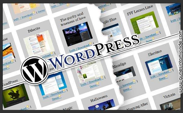 Böylece bir web sitesi açmak istediğinizde www.siteadi.com şeklinde bir yer (domain name) satın alıp içine en güncel Wordpress'i kurup nasıl görüneceğine karar vermek istiyoruz. Gerçekten de herkes aynı yazılımı kullanmasına karşılık sitelerin görünümleri birbirinden çok farklı olabiliyor. Bunu sağlayan şeyse Wordpress'in çoğu ücretsiz olan temaları. Harika Wordpress Temaları