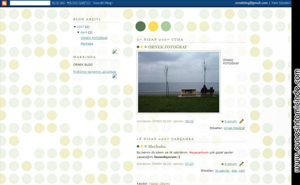 10 Dakikada Blogger'la Web Siten Olsun İster misin ? BÖLÜM - 3 4 bloggerdansiteac17.jpg