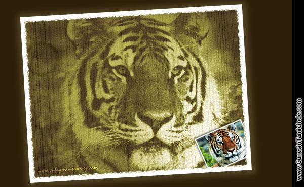 resimeskitmek.jpg resimeskitmek.jpg