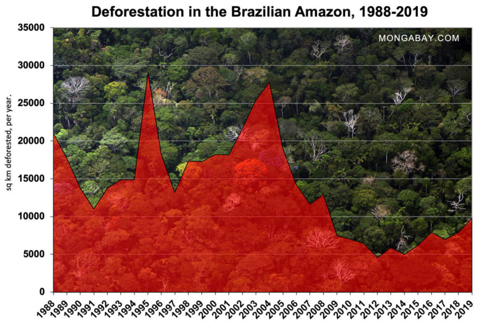 Amazon ormanları hızla tüketilirken dünyanın ciğerleri biterken sadece gelişmemiş ülkelerde değil iyi korunmaya çalışılan gelişmiş ülkelerde de doğa ölürken, dünya hukuku ve kapitalist sistemin tek zayıf karnı olan özel mülkün kutsallığından harekete geçmeliydik. Orman,Yangın,Dünyayı Satın Almalıyız,orman satın alma Dünyayı ve Ormanları Satın Almak Zorundayız!