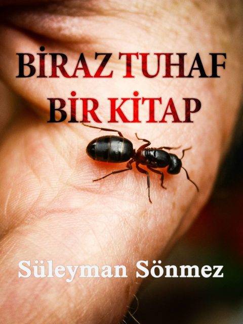 Biraz Tuhaf Bir Kitap