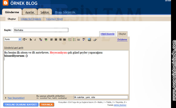 Şimdi artık Gmail hesabımız olduğuna göre sitemizi açmak için önümüzdeki birkaç dakika kaldı demektir. Haydi devam edelim. 10 Dakikada Blogger'la Web Siten Olsun İster misin ? BÖLÜM - 2