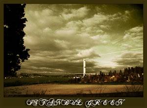 istanbul_green___yesil_by_ssonmez.jpg