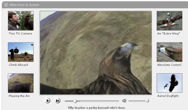 http://media.animal.discovery.com/convergence/spyonthewild/birdtech/birdtech.html?ct=1329.15073148073 Kartallar Yüksek Uçar